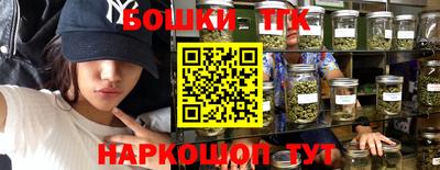 крисы Коммунар