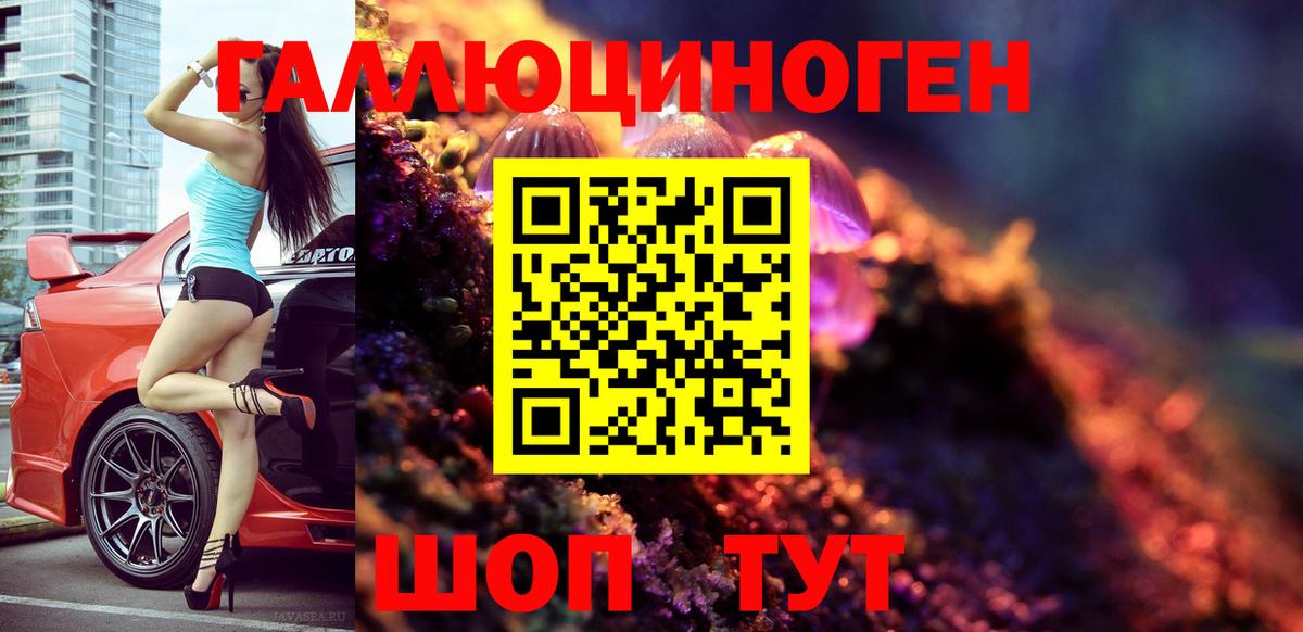 Камышлов  Псилоцибиновые грибы мицелий  Вход с VPN 